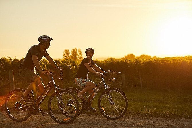 Morning Guided with Afternoon Self-Guided Biking Wine Tour - Who this tour suits best (and who might want a different style)