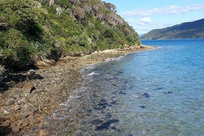 Motuara Island Bird Sanctuary and Ship Cove Cruise from Picton - Who this is best for (and who should skip it)