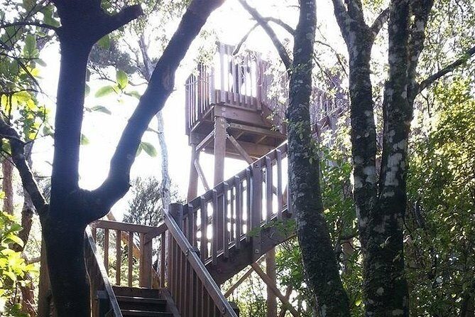Motuara Island Bird Sanctuary and Ship Cove Cruise from Picton - Queen Charlotte Sound cruise: where wildlife spotting starts