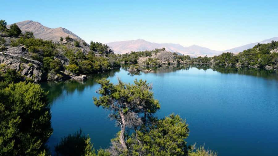Mou Waho Island: 3-Hour Cruise and Guided Nature Walk - Price and value: is $101 per person actually fair?