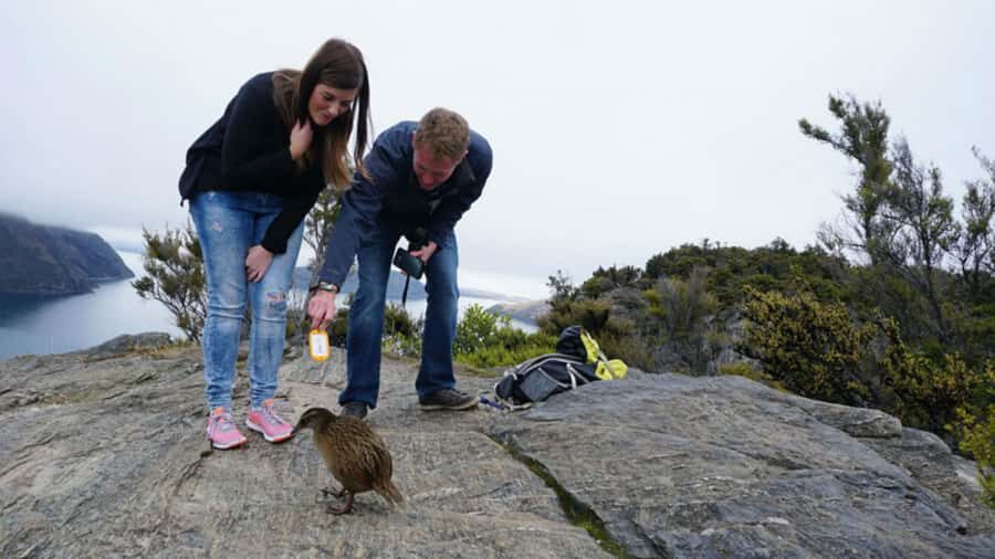 Mou Waho Island: 3-Hour Cruise and Guided Nature Walk - The fast cruise on Lake Wanaka: get your bearings early