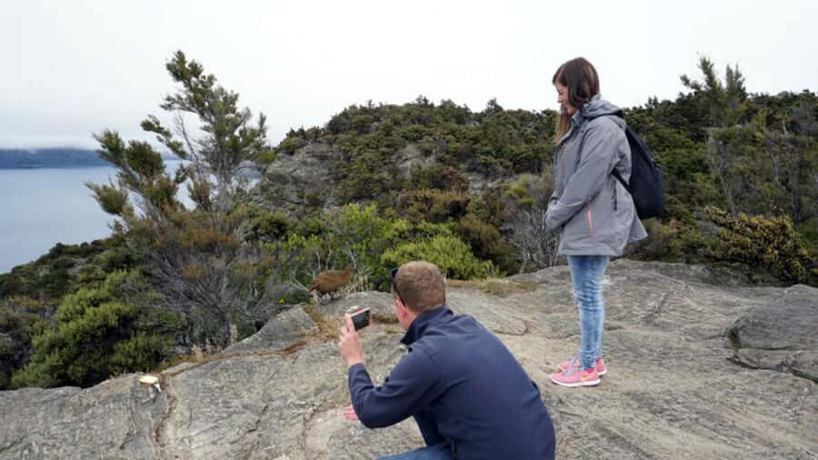 Mou Waho Island: 3-Hour Cruise and Guided Nature Walk - What the guides actually do: flora, fauna, geology, and history