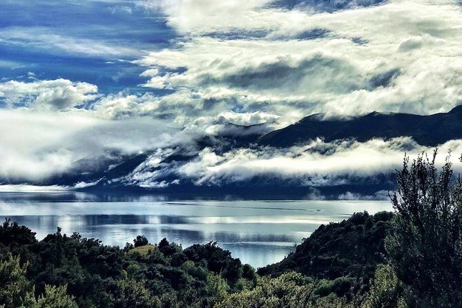 Mou Waho Island Cruise and Guided Nature Walk - Weather, timing, and how fit you need to be