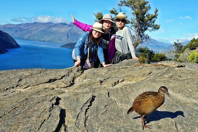 Mou Waho Island Cruise & Self-Guided Nature Walk - Boarding the Moutimu: what the lake cruise actually delivers