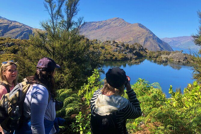 Mou Waho Island Cruise & Self-Guided Nature Walk - Ruby Island, Treble Cone, and Roys Bay: the scenic “connective tissue”