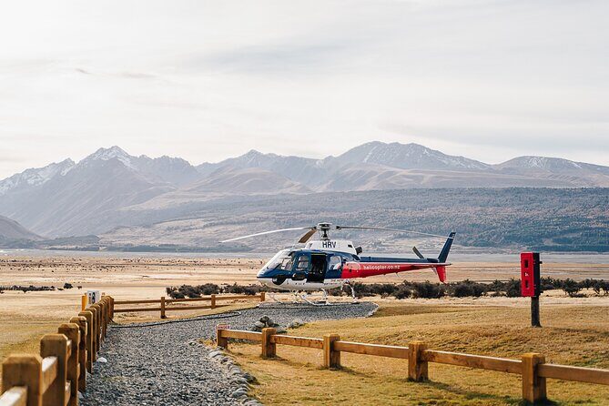 Mount Cook: Alpine Vista Helicopter Flight with Alpine Landing - Key Things I’d Bank On