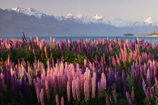 Mount Cook & Lake Tekapo Day Trip from Christchurch - Tasman Glacier: a glacier stop that feels grounded in reality