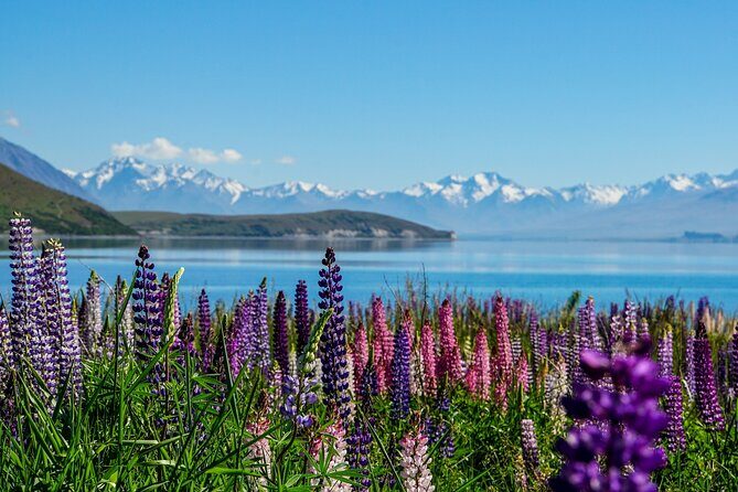 Mount Cook Scenic 35 Minute Helicopter Flight - Small Group Size (Up to 6): More Comfortable, Less Like a Production