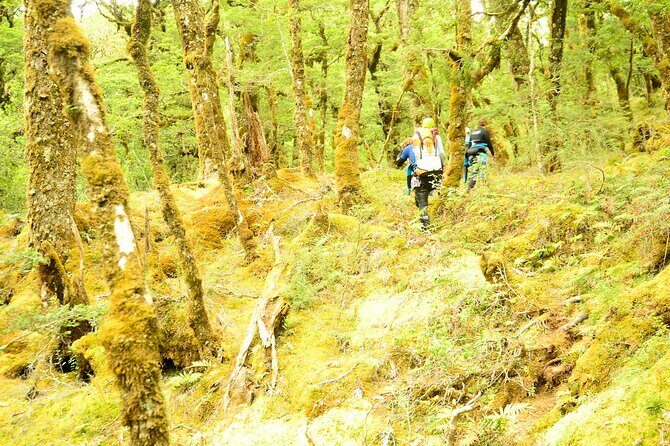 Mt Aspiring Full Day Canyon ex Queenstown or Wanaka - 9 hours on the schedule: what the day feels like