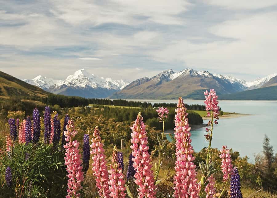 Mt. Cook Day-Tour: Christchurch to Queenstown - Key highlights worth your attention