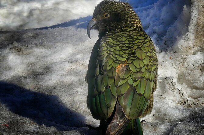 Mt Cook & Lake Tekapo 2-Day Small Group Tour from Queenstown - Te Wahipounamu free time: Hooker Valley is a smart pick