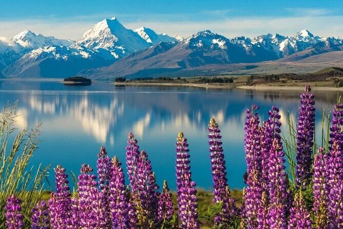 Mt. Cook Private Day Trip From Queenstown with Lake Tekapo - Pickup, meet-and-greet, and the 7:00 am reality check