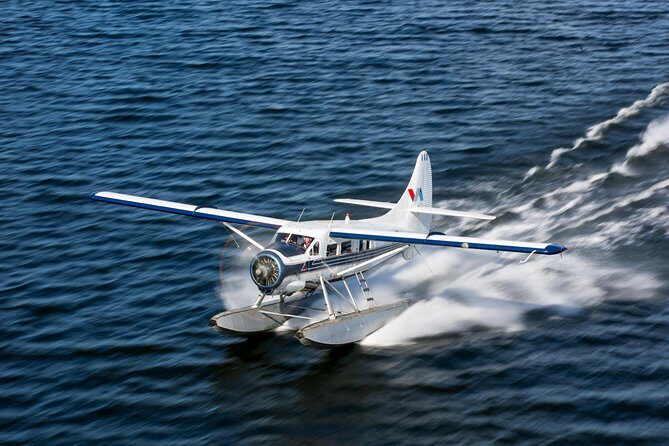 Mt. Tarawera Volcano Scenic Floatplane Tour from Rotorua - Key things to know before you go