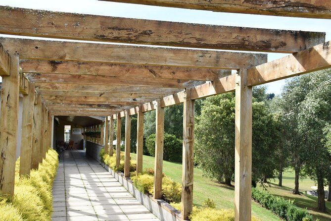 Muriwai Scenic Wine Tour from Auckland - West Brook Wines tasting: a chance to compare styles fast
