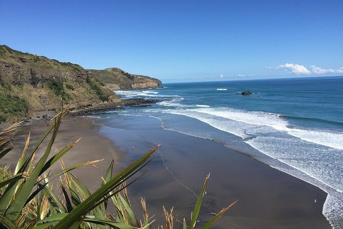 Muriwai Scenic Wine Tour from Auckland - The Muriwai black-sand walk: what makes the coastline worth it