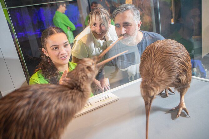 Museum of NZ Te Papa Tongarewa: International Visitor Entry - Te Papa on Wellington’s Waterfront: A National Museum With Real Personality