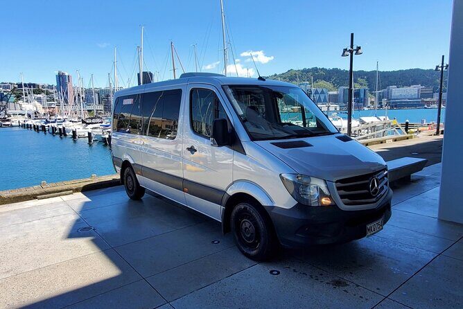 Museum of NZ Te Papa Tongarewa: International Visitor Entry - The National Art Collection: A Break From Facts (In a Good Way)