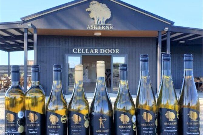 Napier: Afternoon Wine Tasting + visit Silky Oaks Chocolates - Roys Hill: Quick Vineyard Learning on Gimblett Gravels Road