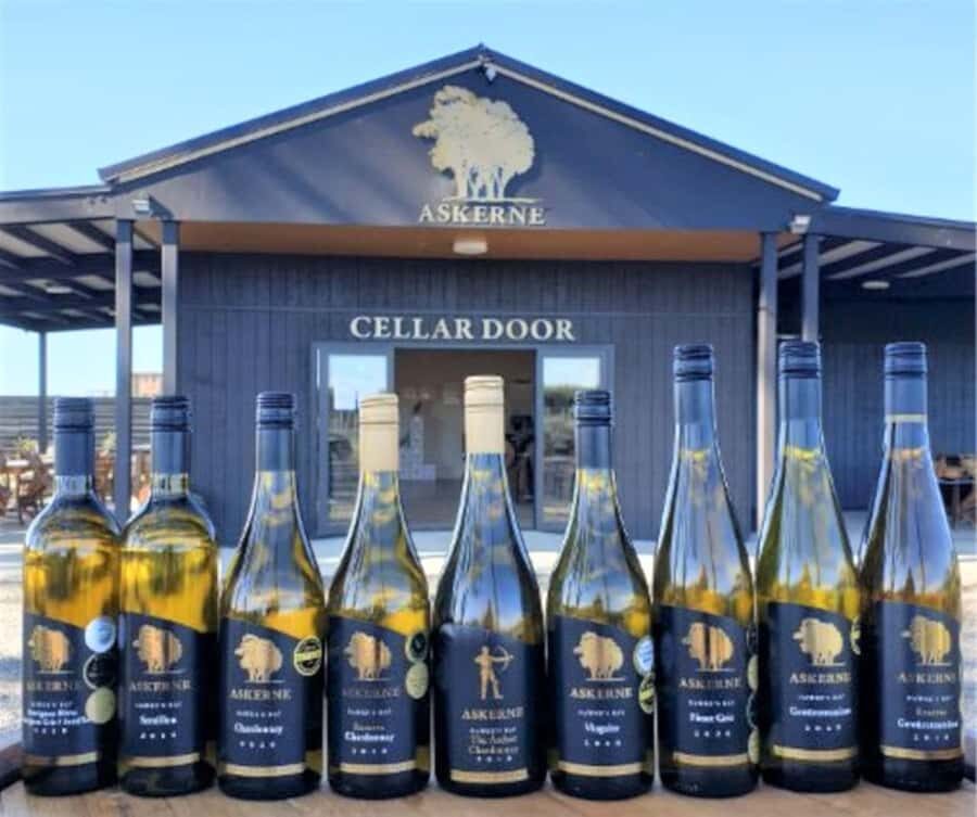 Napier: Afternoon Winery Tour Tasting at 3 Great Wineries - Gimblett Gravels Road: what to listen for while you’re tasting