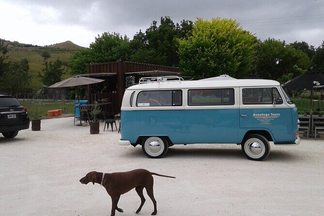 Napier and Hawkes Bay Scenic and Art Deco Tour by VW Kombi - Following the coast: Napier to the Tuki Tuki Valley