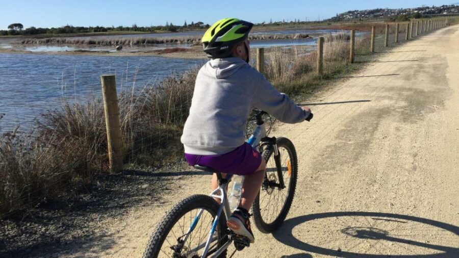 Napier: Art Deco Bike Ride and Wineries Loop - Timing your day: morning start, 6 hours on the clock