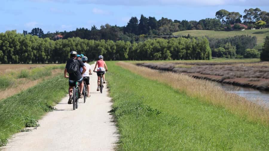 Napier: Art Deco Bike Ride and Wineries Loop - Napier Art Deco stops: how to get the most from the architecture break