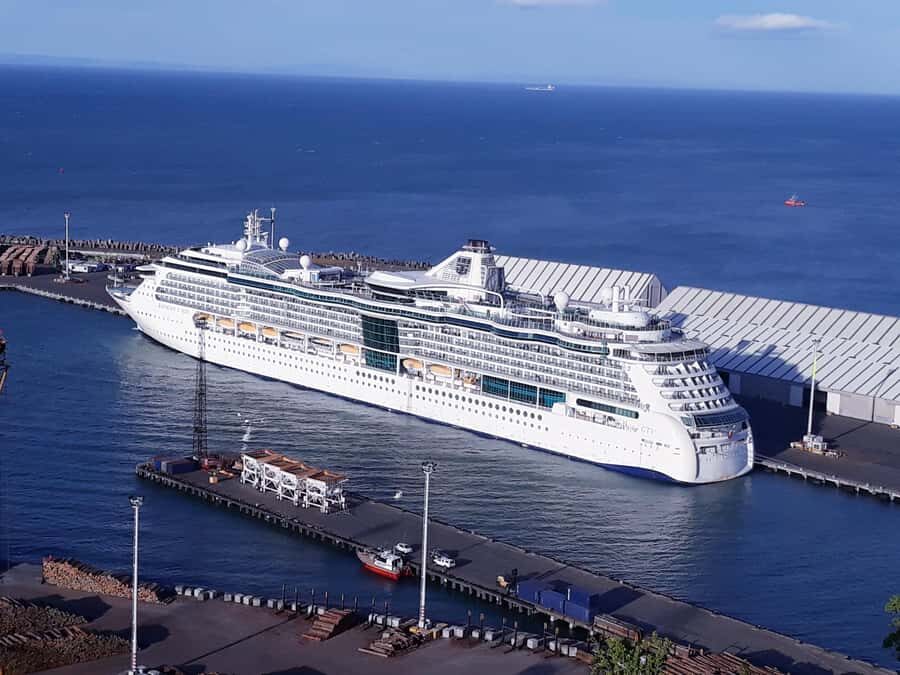 Napier: Art-Deco + Te Mata Peak+ Garden Walk + Wine Tasting - Bluff Hill Lookout: harbour drama with your ship underfoot