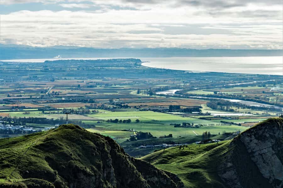 Napier: Art-Deco + Te Mata Peak+ Garden Walk + Wine Tasting - The guide’s gardens and the “why” behind Napier’s rebuild