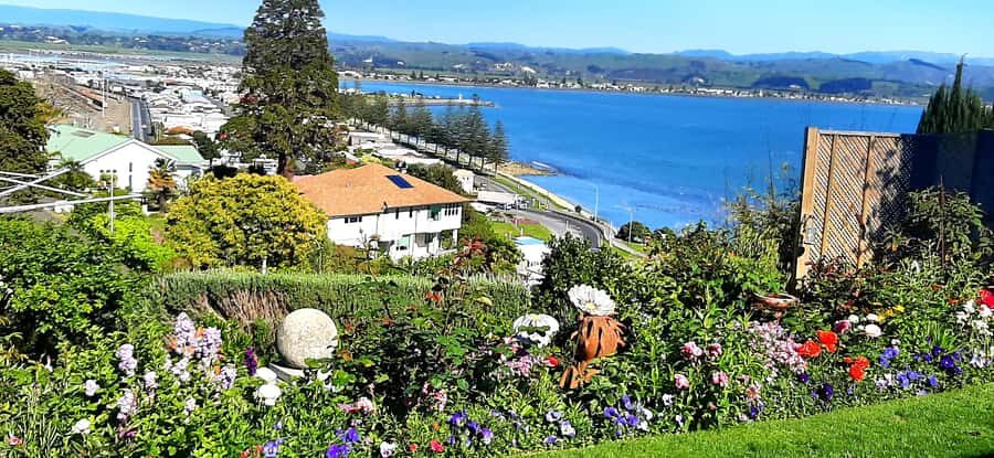 Napier: Art-Deco + Te Mata Peak+ Garden Walk + Wine Tasting - Meeting at Marine Parade and getting into the rhythm