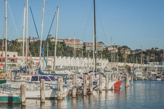 Napier Bike Hire - How your self-guided day can unfold (routes you can build)