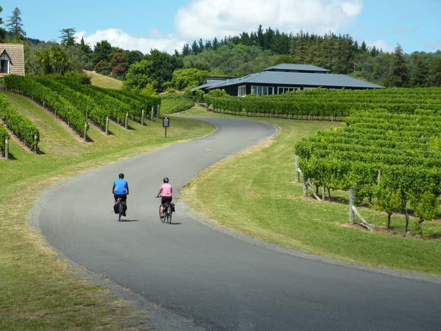 Napier: Cape Coast Winery Tour on E-Bikes - Key Points That Make This Tour Worth Your Time