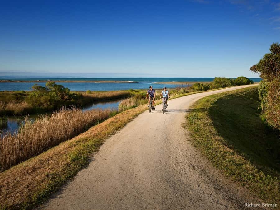 Napier: Cape Coast Winery Tour on E-Bikes - The Tuki Tuki River Run: The Ride You’ll Remember After the Wine