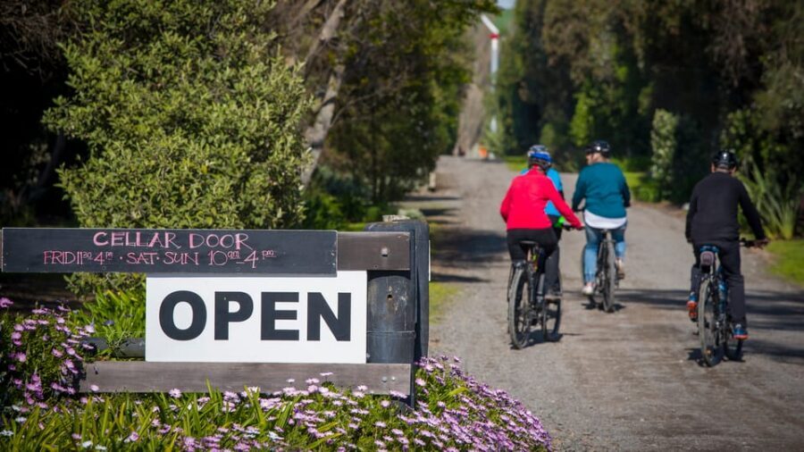 Napier: Cape Coast Winery Tour on E-Bikes - E-Bikes, Helmets, Panniers, and the Comfort Factor