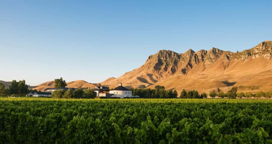 Napier Craggy Range Wine tour with Te Mata Peak summit views - Craggy Range: what you’ll learn during the guided tasting hour