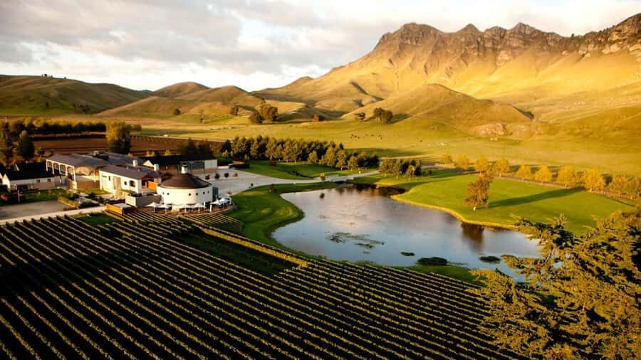 Napier Craggy Range Wine tour with Te Mata Peak summit views - Te Mata Estate tasting: second tasting with a different tone