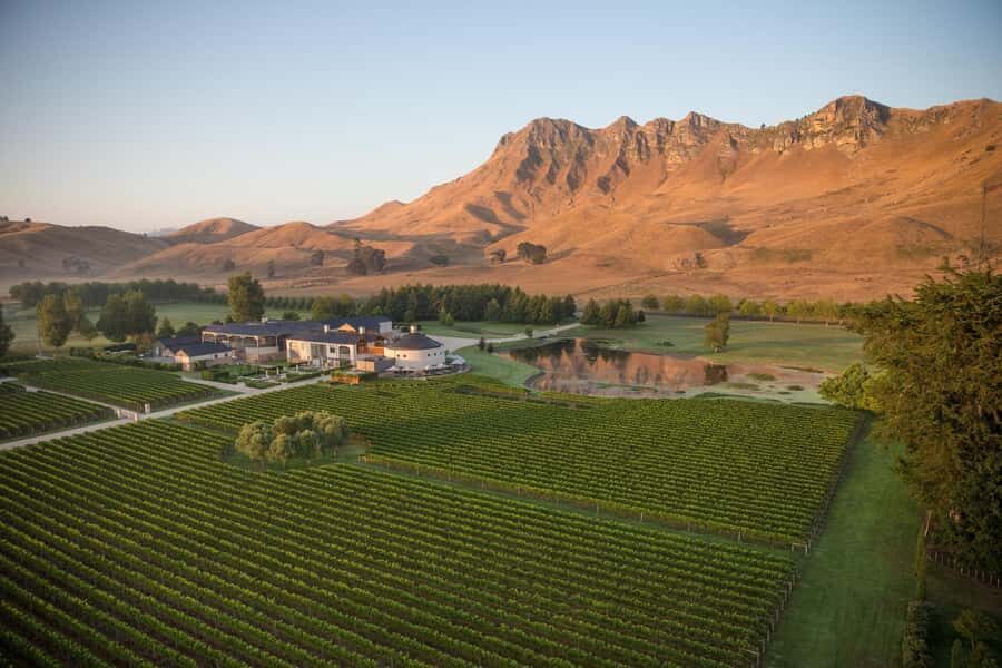 Napier Craggy Range Wine tour with Te Mata Peak summit views - What $159 buys you: value of transport plus two winery experiences