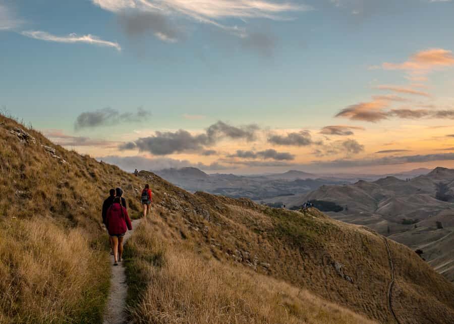 Napier Craggy Range Wine tour with Te Mata Peak summit views - Who should book, and who should skip it