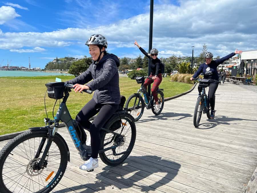 Napier: Cruise Self-Guided Cycle Ride to Winery - Half Day - Napier to Hawke’s Bay on flat self-guided trails