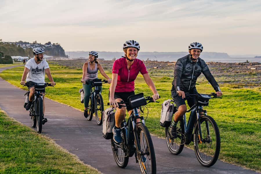 Napier: Cruise Self-Guided Cycle Ride to Winery - Half Day - Two route options with real winery choices (40km vs 50km)
