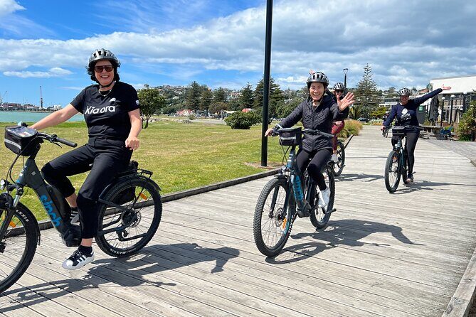 Napier: Cycle to Wineries - Half Day, self-guided - Key Highlights You’ll Care About
