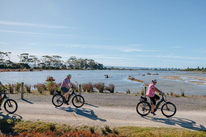 Napier E-bike Hire - Key Points I’d Focus On Before You Go