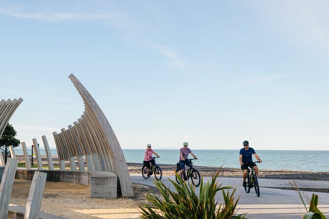 Napier E-bike Hire - Who This E-bike Day Hire Suits Best