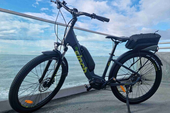 Napier E-bike Hire - Why Napier’s Cycling Feels Like the Right Use of an E-bike