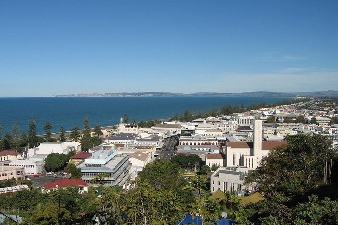 Napier Shore Excursion: City Sights and Hawke's Bay Tour - Napier Shore Excursion at a Glance (Price, Time, and What You Really Get)