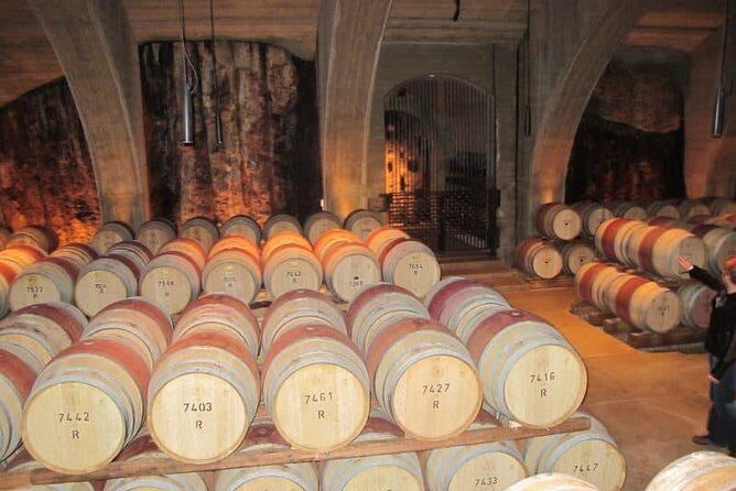 Napier Shore Excursion: Wine & Art Deco Tour - Key things to know before you go