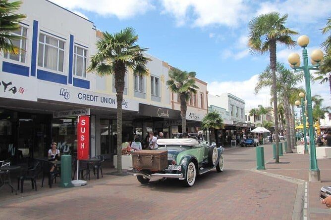Napier Shore Excursion: Wine & Art Deco Tour - Port pickup to drop-off: the cruise-day rhythm that matters