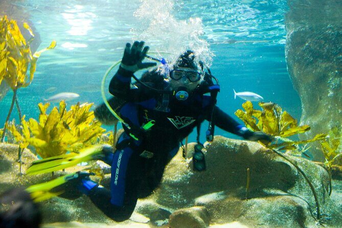 National Aquarium of New Zealand in Napier General Admission - Quick hits before you go