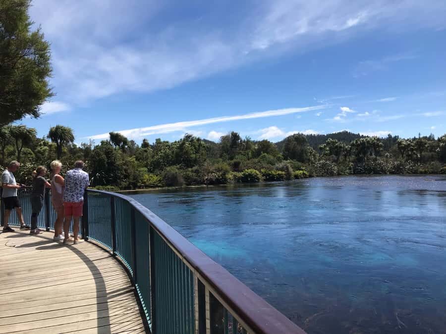 Nelson: Abel Tasman Cruise-Fly Day Tour - Key highlights worth marking