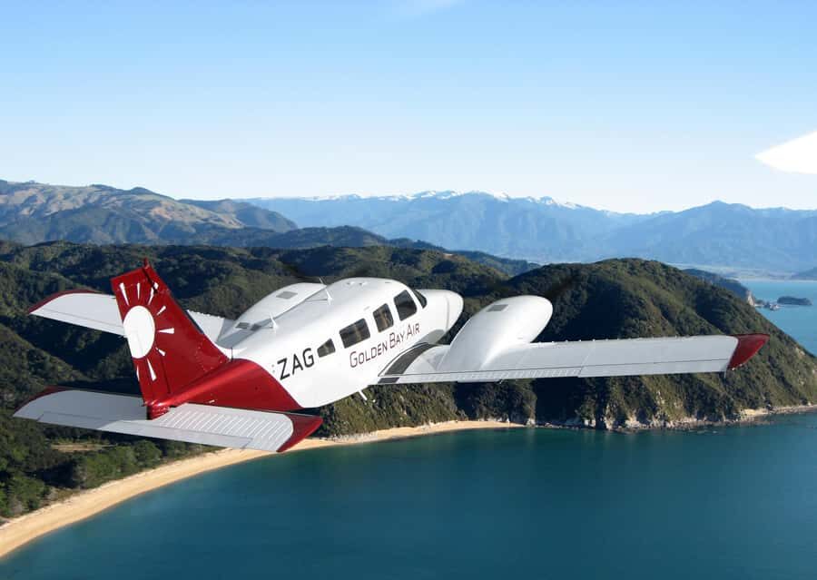 Nelson: Abel Tasman Cruise-Fly Day Tour - Abel Tasman National Park cruise: spotting wildlife on the water
