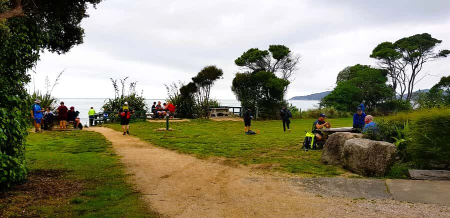 Nelson: Abel Tasman Cruise-Fly Day Tour - Tōtaranui Beach: the picnic moment you’ll remember